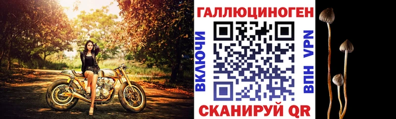 Галлюциногенные грибы Psilocybe  Себеж 
